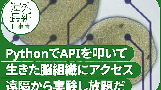 ミニ脳16個入「バイオプロセッサ」　消費電力通常の100万分の1、APIでアクセス可能、研究者向けサブスクも【研究紹介】 レバテックラボ（レバテックLAB）