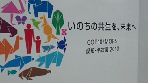 【速報】COP１０での市民活動家らが起こした奇跡♪ -