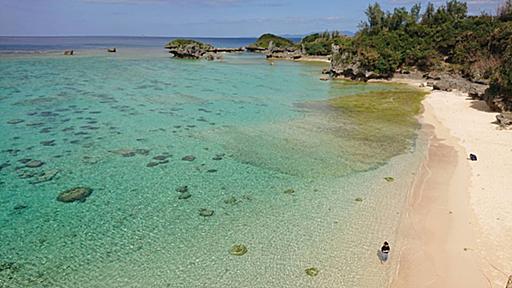 沖縄県におけるオミクロン株の流行　疫学情報のまとめ（高山義浩） - エキスパート - Yahoo!ニュース