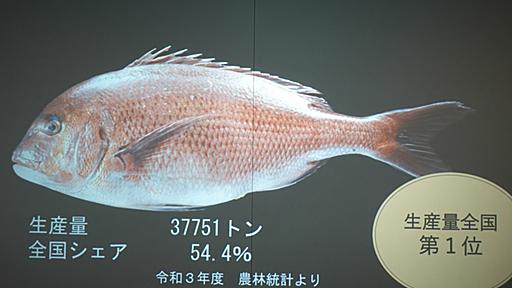 “おいしい魚”の定義を明確化--ソフトバンクと愛媛県ら、マダイの品質規格標準化へ