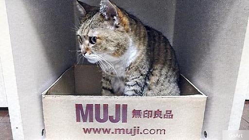 MUJI非公認にゃんこ？ - 猫とわたしの気まま日記。