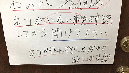 ネコに癒やされながら働ける　「ネコワーキング」をのぞいてきた