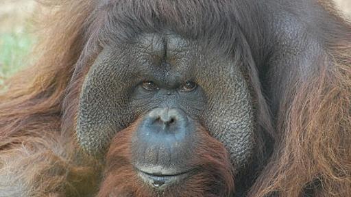 夜の動物園で「リアル謎解きゲーム」－国内初の試み