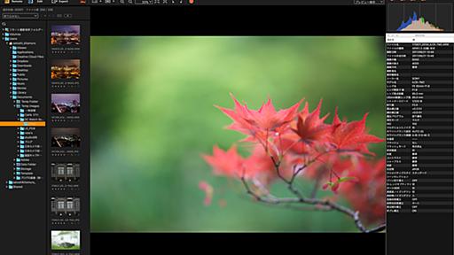 デジカメアイテム丼：ソニーの新RAW現像ソフト「Imaging Edge」とは何か？　画像管理、閲覧、現像、リモート撮影がシームレスに