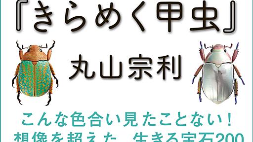 『きらめく甲虫』制作ウラばなし　後編｜生きた宝石・甲虫の世界へようこそ！｜丸山宗利