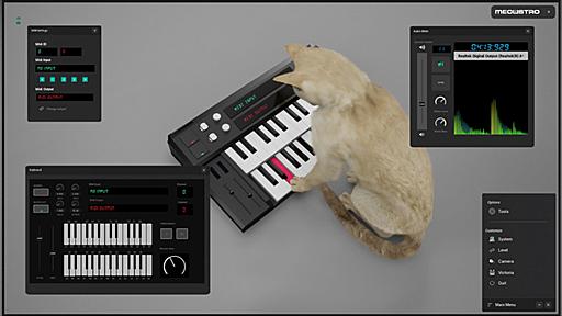 猫シンセサイザーシム『Meowstro』発表。猫が鍵盤を弾く姿を好きなだけ眺められ、MIDIキーボード・MIDIソフトウェアにも対応 - AUTOMATON