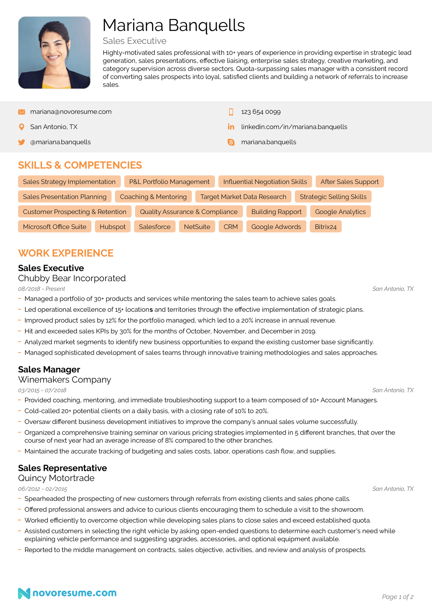 Sales Executive Resume Example