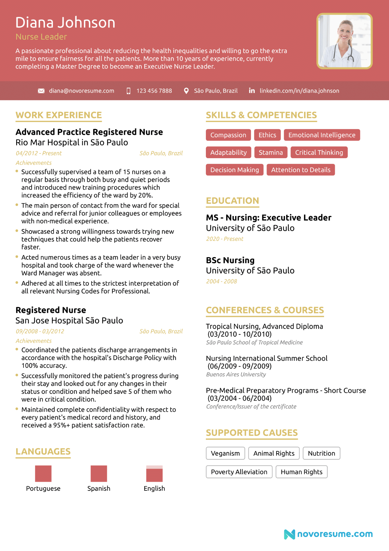 Nurse CV Example