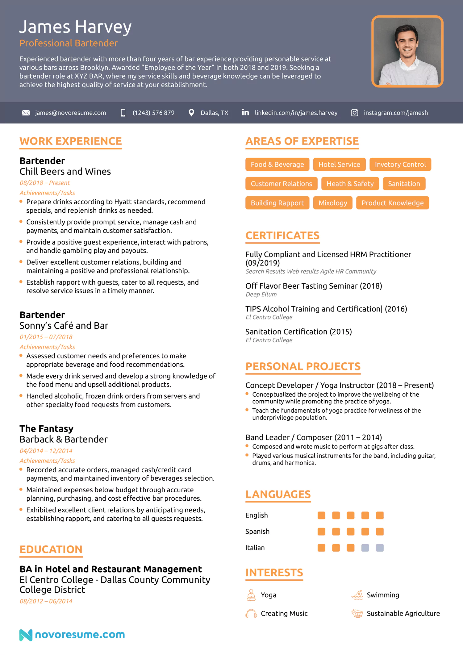 european cv example