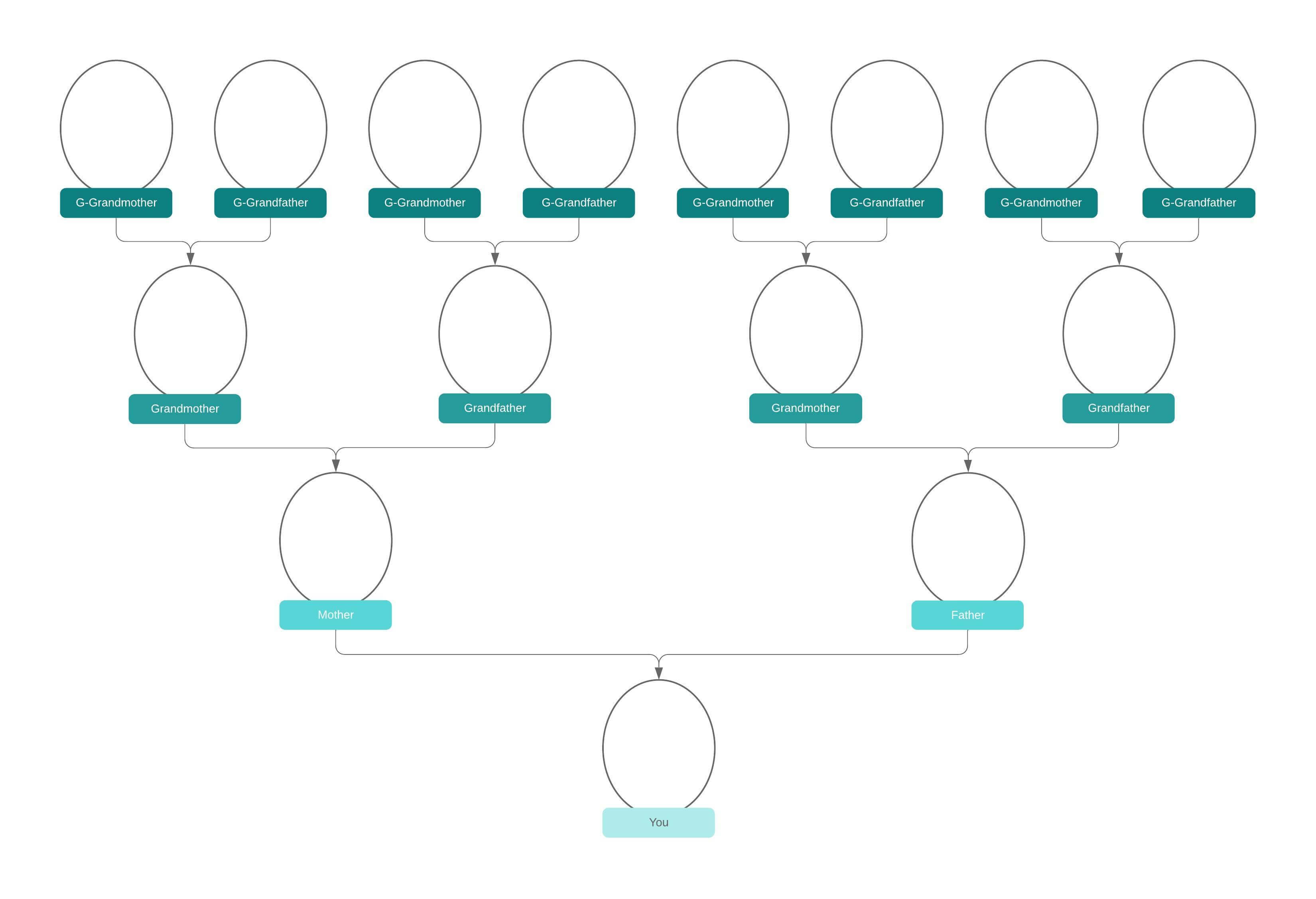 hundert Vorhang Detailliert base genealogique gratuite Dekorativ ...