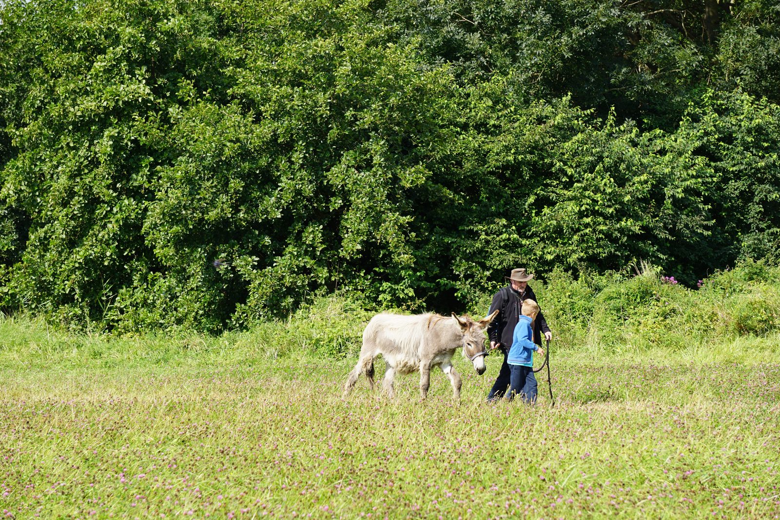 Buiten de gebaande paden