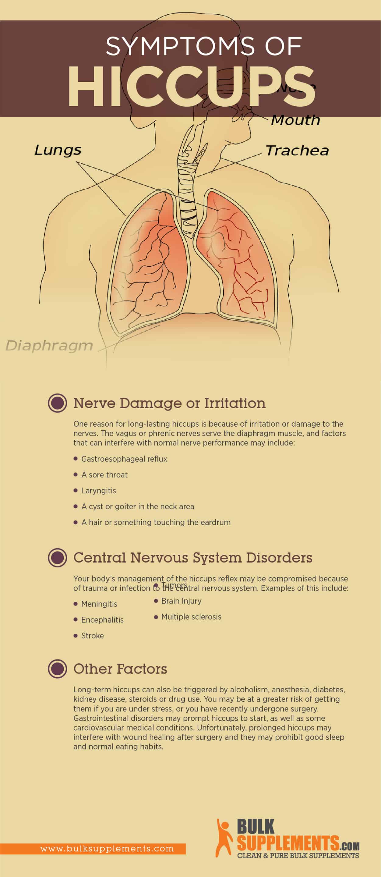 Hiccups Infographic