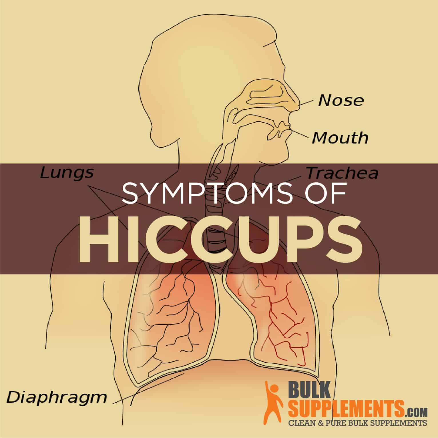 Hiccups