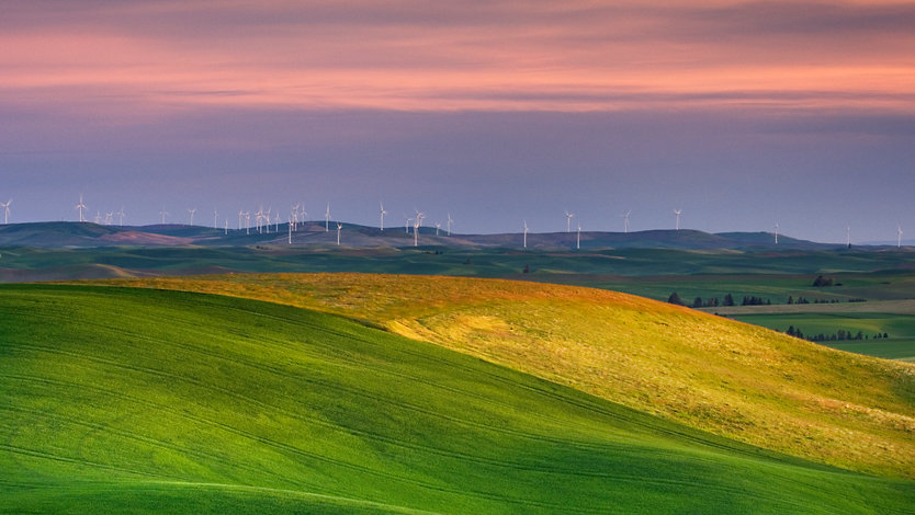 Rolling green hills with a wind farm in the distance.