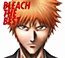 Bleach the Best