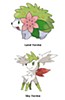 Shaymin