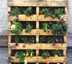 Pallet Garden