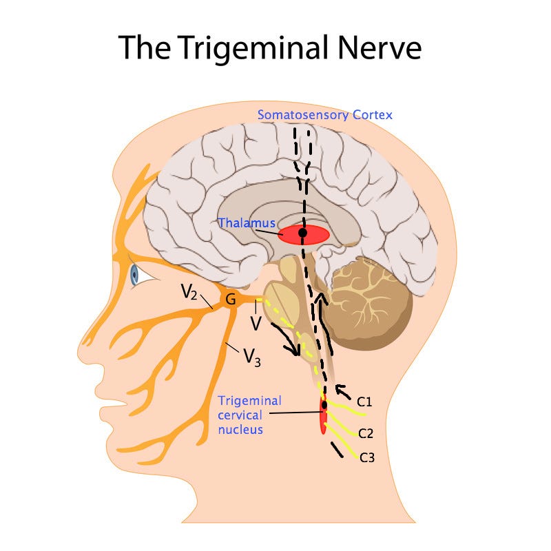 Unraveling Trigeminal Neuralgia – Dr. Jonathan Chung – Medium