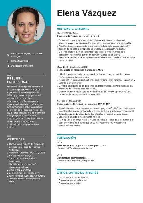 Ejemplo De Curriculum Vitae Profesional En Mexico Nuevo Ejemplo | Porn ...