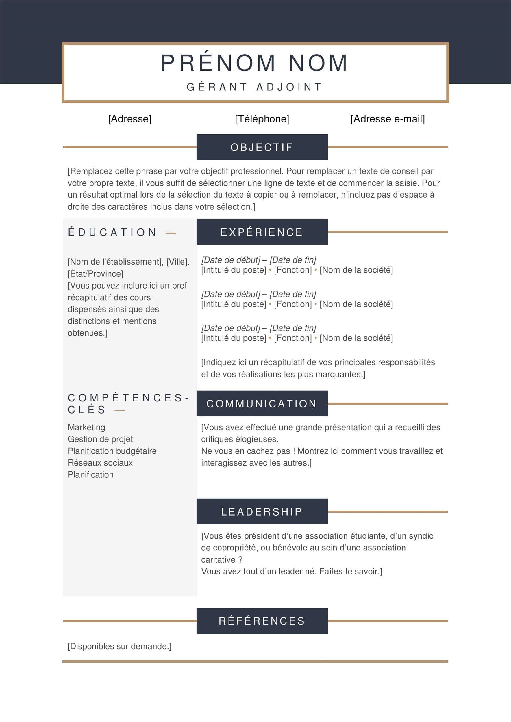 100 Modeles De Cv Gratuit A Telecharger Et Remplir 2022 Images