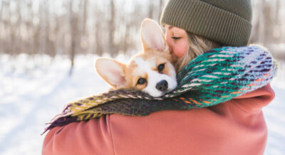 How to Keep Dogs Warm in Winter