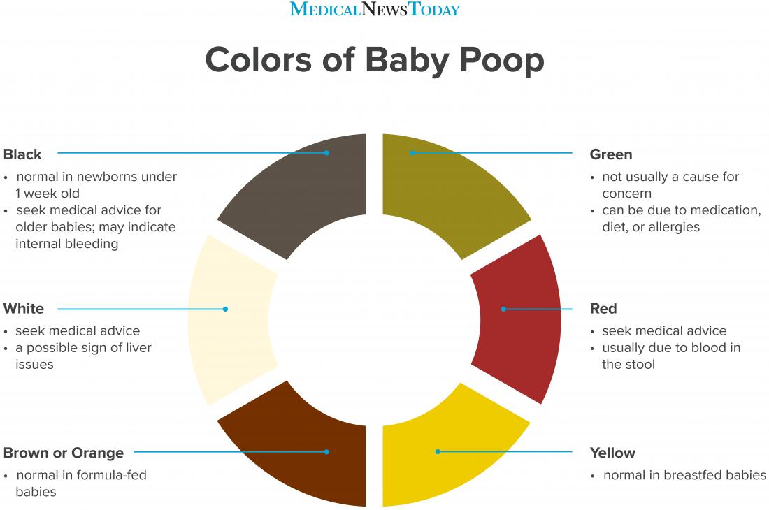 poop stool color changes color chart and meaning healthy concept stock ...