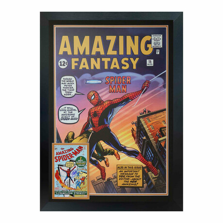 Spider-Man First Appearance Framed Print Signed By Stan Lee