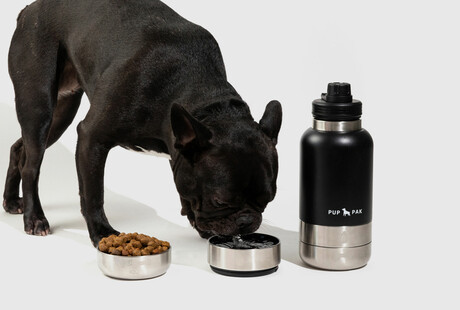 Keep Your Dog Hydrated On The Go