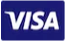 visa card