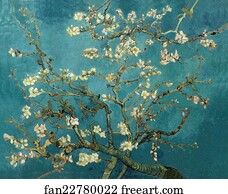  Art Print - Almond Blossoms