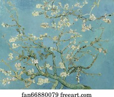  Art Print - Almond Blossoms