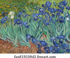  Art Print - Irises