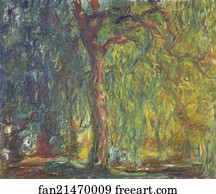  Art Print - Weeping Willow