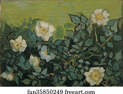  Art Print - Wild Roses