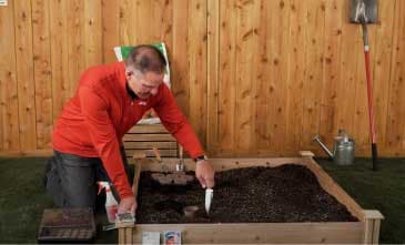 Start a Vegetable Garden