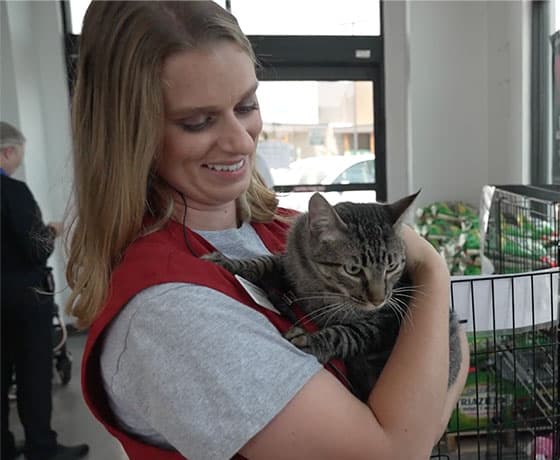 Cats In-Store