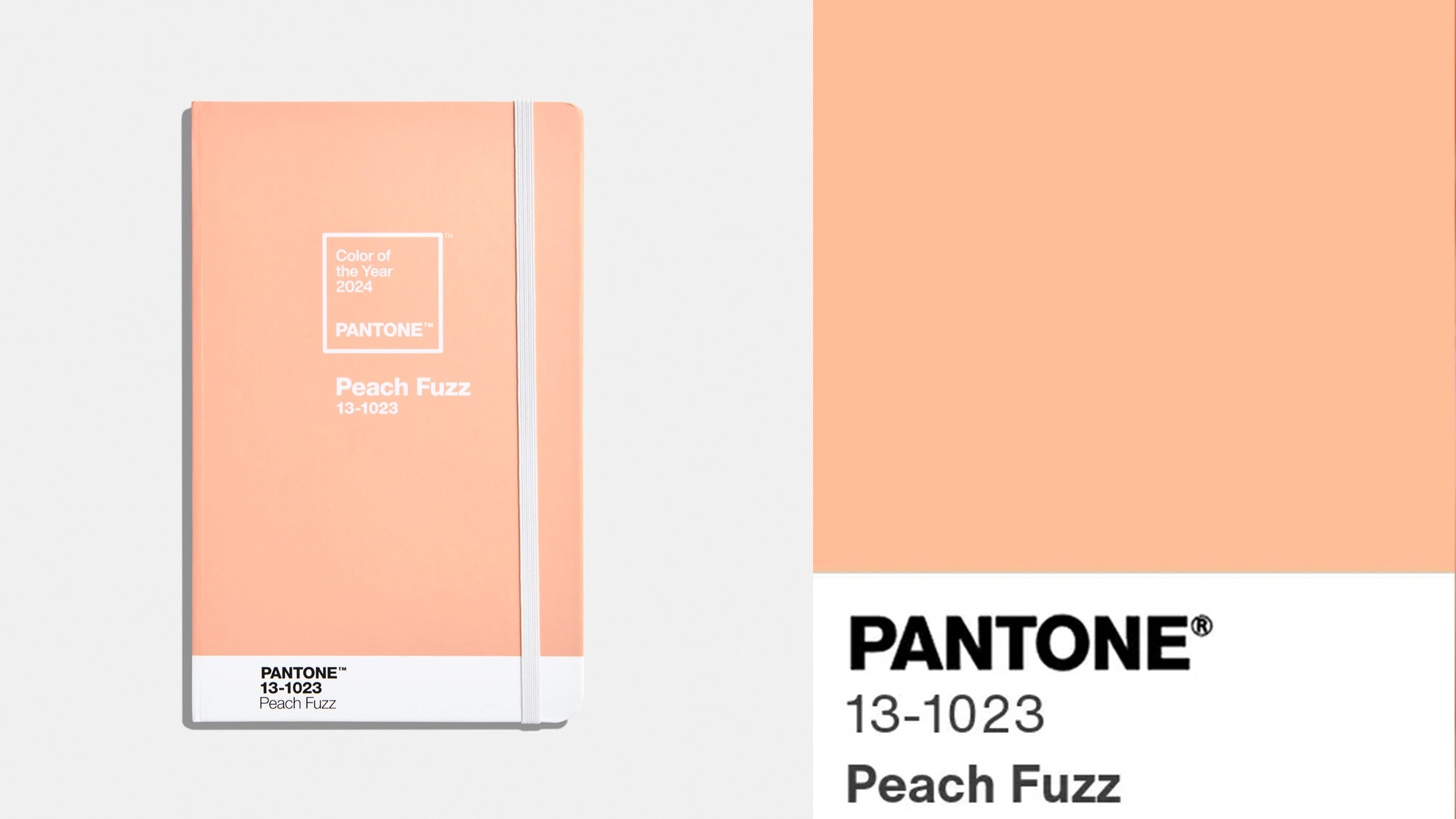 What is the Pantone color of the year? Peach Fuzz named color of the ...