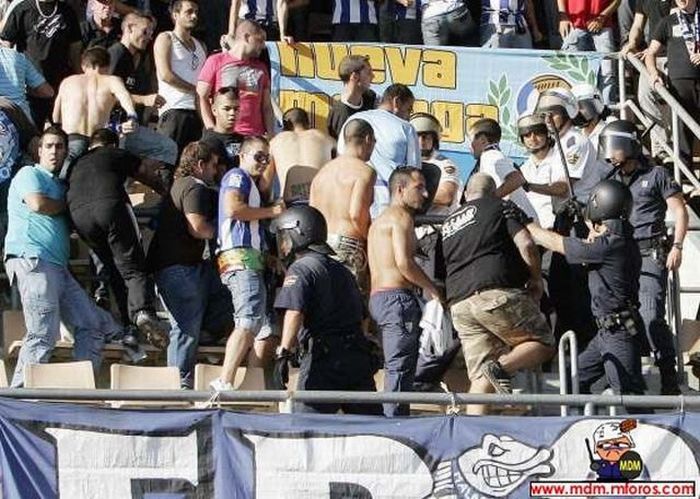 Soccer Ultras (55 pics)