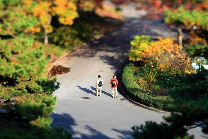 Stunning Tilt Shift Photography (58 pics)