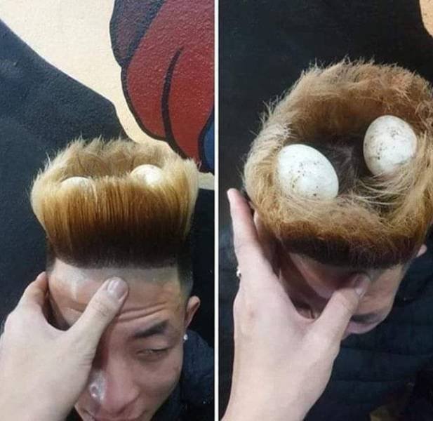 Funny Haircuts (30 pics)