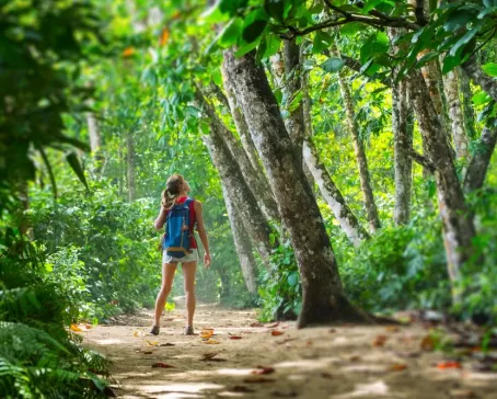 Hiking Costa Rica's stunning rainforests