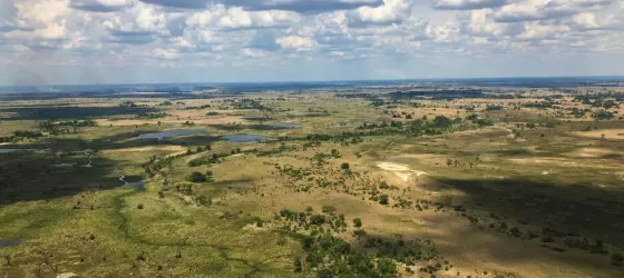 Okavango Delta from the air