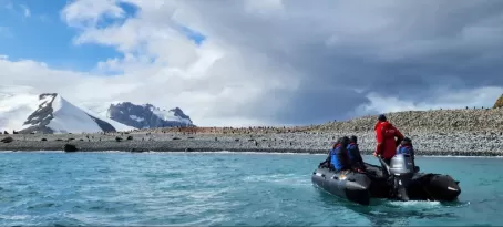 Gorgeous views of Greenwich Island and the wildlife on shore.