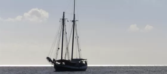 Catching the wind on our sailing adventure on the Liberty Clipper