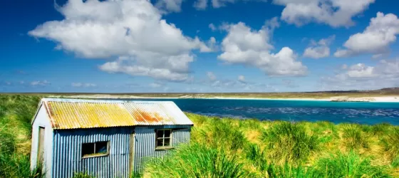 The pristine and remote landscape of the Falkland Islands