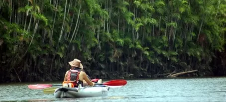 Kayaking the Amazon