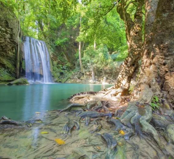 Jungle waterfall