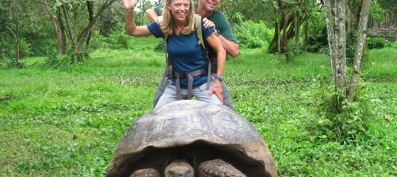 Galapagos Tortoise, El Chato Reserve