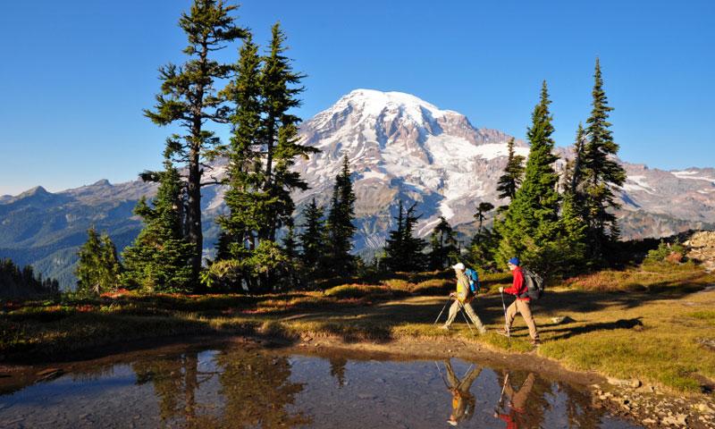 Mount Rainier National Park