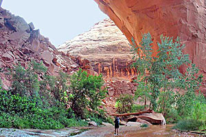 Wildland Trekking | Arches & Canyonland Treks